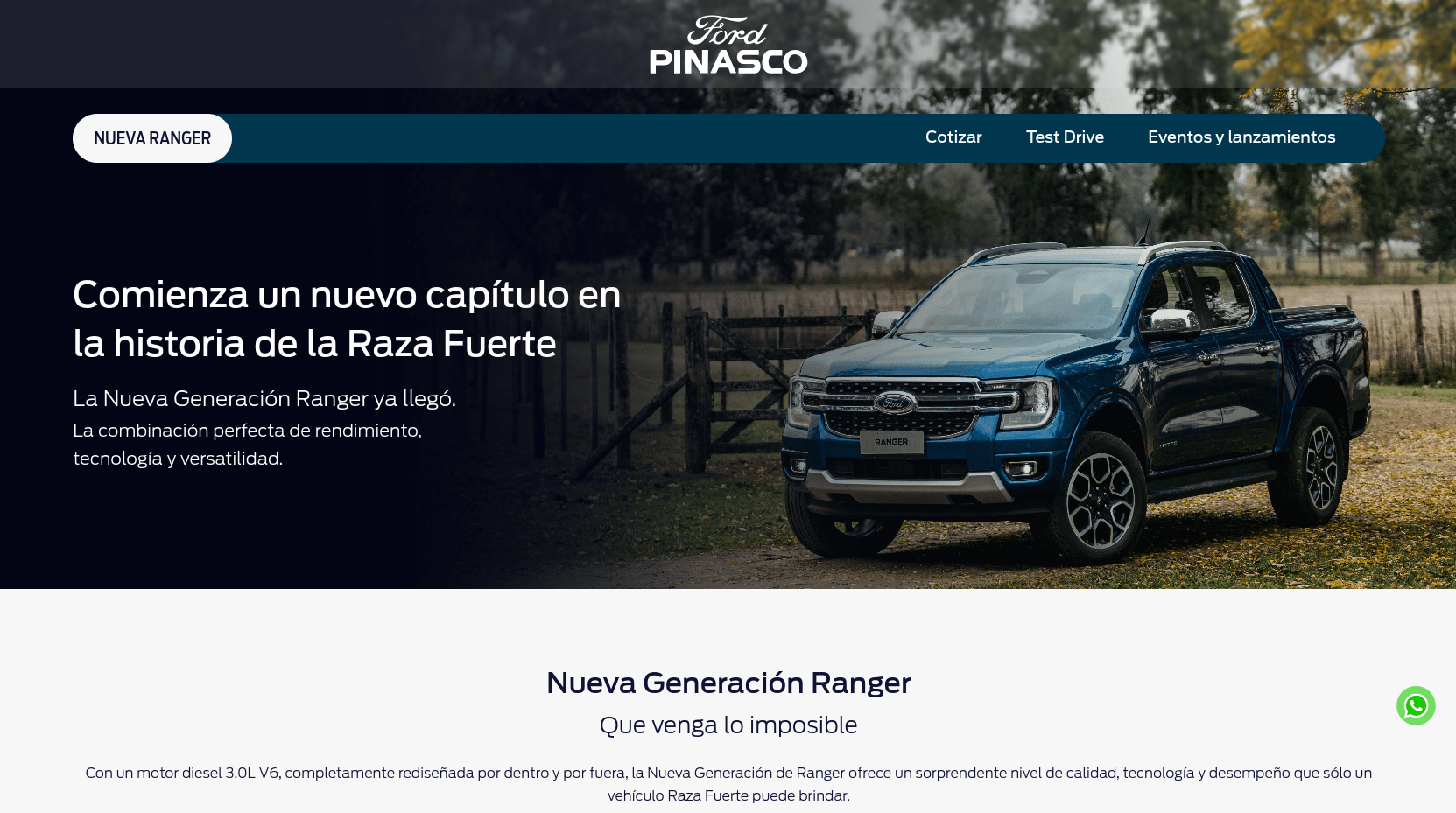 Ford and Maximo Pinasco. Web development project